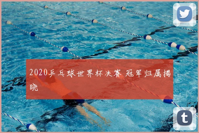2020乒乓球世界杯决赛 冠军归属揭晓