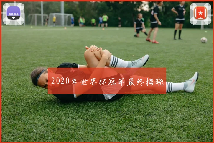 2020年世界杯冠军最终揭晓