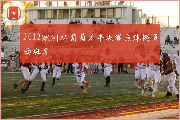 2012欧洲杯葡萄牙半决赛点球憾负西班牙