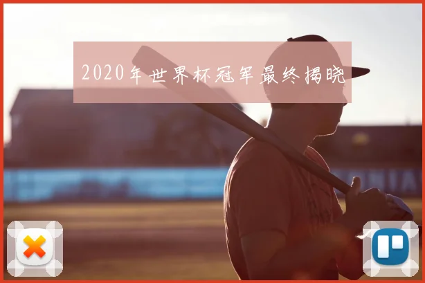 2020年世界杯冠军最终揭晓