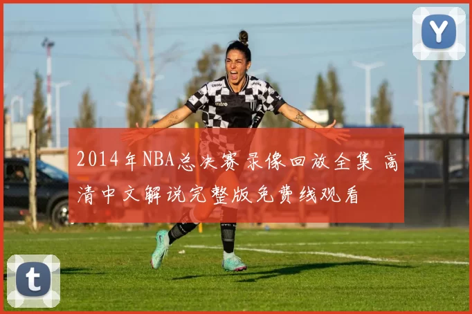2014年NBA总决赛录像回放全集 高清中文解说完整版免费线观看