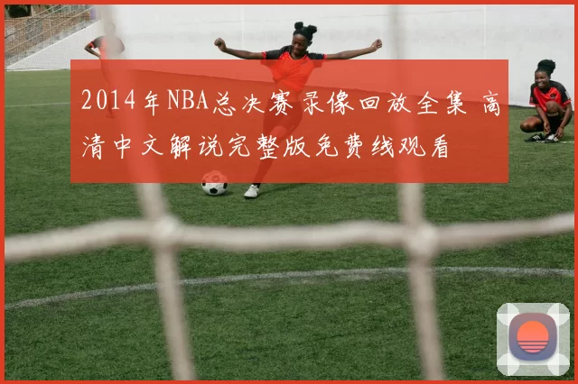 2014年NBA总决赛录像回放全集 高清中文解说完整版免费线观看