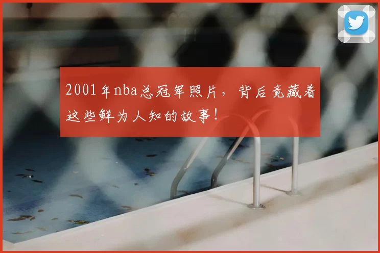 2001年nba总冠军照片，背后竟藏着这些鲜为人知的故事！