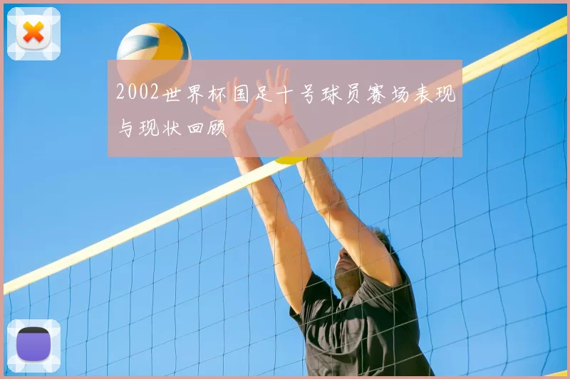 2002世界杯国足十号球员赛场表现与现状回顾
